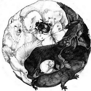 Meet your Posher, Isabel